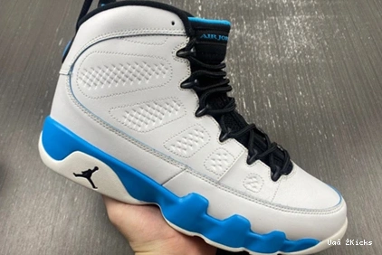 “Powder 654 Air Blue 1730 WellDesigned Jordan FQ8992- 9 0622